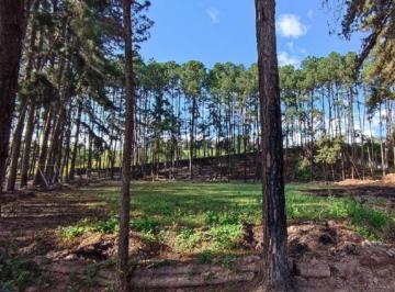 Terreno , São Paulo · OPORTUNIDADE TERRENO (GLEBA B) - JARDIM ÂNGELA/SP