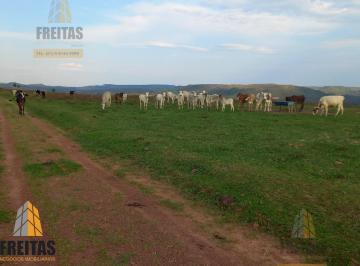 Foto 01 · Fazenda em Santo Antonio do Descoberto excelente dupla aptidão beira rio