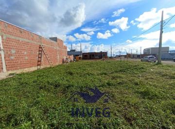 Foto 01 · Terreno - Nova Mutum