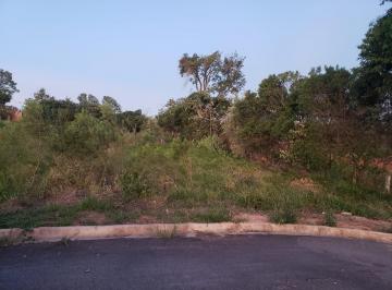 Foto 01 · Terreno - Jardim Araújo