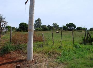 Rural · Sítio - Paraíso