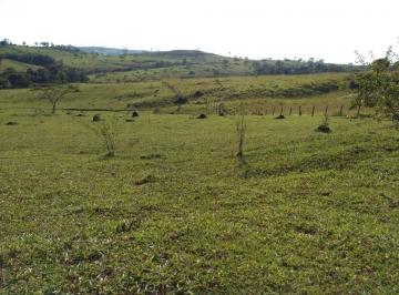 Foto 01 · Fazenda venda. Empório Negócios vende fazenda pecuária e lavoura na região de São Sebastião do Paraí