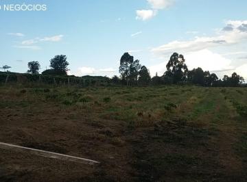 Foto 01 · Sítio venda. Empório Negócios vende sítio para café e pecuária na região de Monte Santo de Minas - M