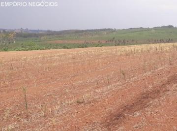Foto 01 · Fazenda venda. Empório Negócios vende fazenda para lavoura na região de São Sebastião do Paraíso - M