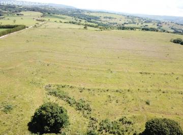 Foto 01 · Sítio venda. Empório Negócios vende sítio para pecuária e lavoura na região de Monte Santo de Minas-
