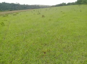 Foto 01 · Sítio venda. Empório Negócios vende sítio para pecuária e lavoura de café e grãos na região de São S