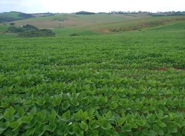 Foto 03 · Fazenda venda. Empório Negócios vende fazenda pecuária e lavoura no Sul de Minas.