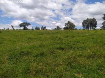 Foto 01 · Sítio venda. Empório Negócios vende sítio pecuária e lavoura na região de Cássia dos Coqueiros - SP.