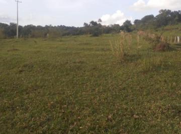 Foto 01 · Sítio venda. Empório Negócios vende sítio para pecuária e lavoura na região de Monte Santo de Minas 