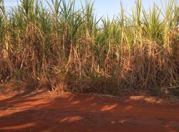 Foto 01 · Sítio venda. Empório Negócios vende sítio cana e granja na região de Casa Branca - MG.
