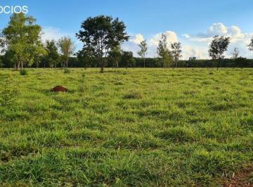 Foto 01 · Fazenda venda. Empório Negócios vende fazenda para pecuária e lavoura na região de Passos - MG.