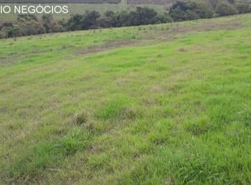 Foto 01 · Sítio venda. Empório Negócios vende sítio para pecuária e lavoura na região de São Sebastião do Para
