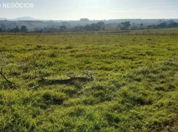 Foto 01 · Sítio venda. Empório Negócios vende sítio lavoura, pecuária e lazer na região de São Sebastião do Pa
