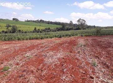 Foto 01 · Sítio venda. Empório Negócios vende sítio pecuária e lavoura na região de São Sebastião do Paraíso -
