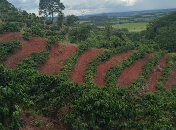 Foto 03 · Sítio venda. Empório Negócios vende sítio café na região de Monte Santo de Minas - MG.