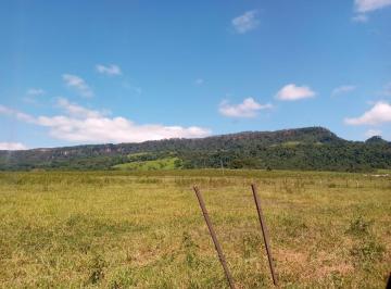 Foto 01 · Fazenda venda. Empório Negócios vende fazenda pecuária e lavoura na região de Mococa - SP.