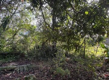 f673781b7aa389cae8d16f5f83dc42d83a346d27 · Terreno à venda, 407 m² - Rio Tavares - Florianópolis/SC