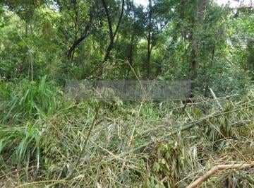 Comercial · 20000m² · Imóvel Comercial para venda em Caputera de 20000.00m²