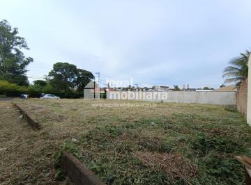 Terreno · 800m² · Terreno para venda em City Ribeirão de 800.00m²