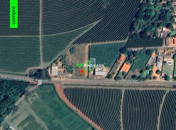 Terreno · 2500m² · Terreno para venda em Centro de 2500.00m²