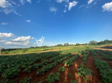 0 · área à venda em Betel