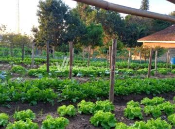 0 · terreno à venda em Village Campinas