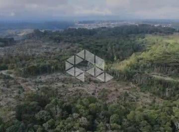 Rural · 349650m² · Área com 35ha na Linha Àvila Alta, Gramado/RS