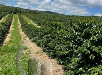 202608271135232462.jpeg · Fazenda para Venda em Caconde, 1 suíte, 4 banheiros, 3 vagas