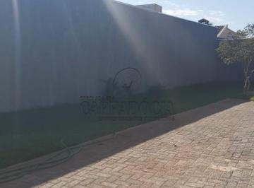 Foto 01 · Prédio Comercial com 11 Salas e 250m² no Jardim Francisco Fernandes - São José do Rio Preto-SP
