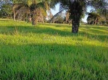 Casa · 387200m² · 1 Quarto · Sítio à venda em Goiás Velho – 42 hectares, pasto formado e água abundante