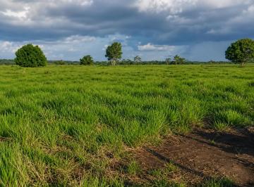 202608271833581402.png · Venda - Fazenda 500 Hectares em São Domingos do Capim - Mato Grosso