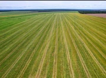 Rural , Gaúcha do Norte · FAZENDA COM 10.000 HÁ EM GAÚCHA DO NORTE - MT