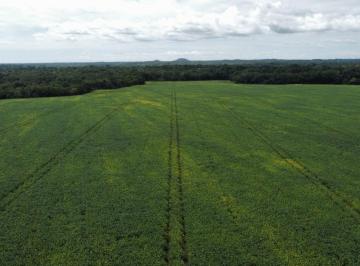 Rural , Dois Irmãos do Tocantins · FAZENDA COM 1.132 HÁ. EM DOIS IRMÃOS - TO
