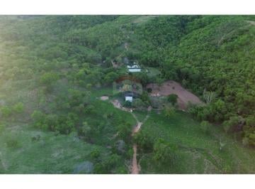 Rural · 1000000000m² · 3 Quartos · Fazenda São Miguel / Pindaíbas – Formosa GO
