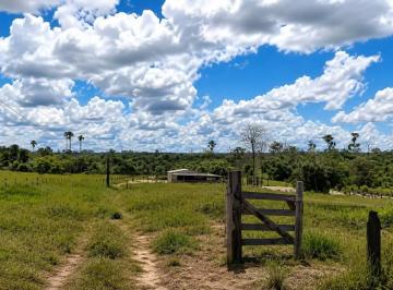 202608280009208742.png · Venda - Fazenda 2.662 Hectares 📍Novo Progresso-Pará