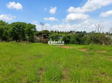 Terreno · 300m² · Terreno disponível para venda no bairro Vigilato Pereira em Uberlândia-MG