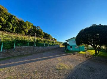 Rural · 12,5 HECTARES COM VINHEDOS EM PRODUÇÃO