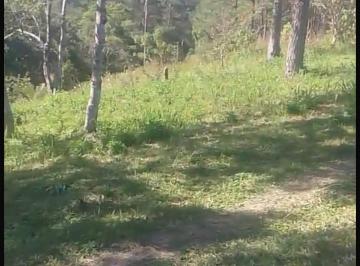 Terreno , Embu-Guaçu · Terreno de 3000m2 na Estrada do Santa Rita Embu Guaçu