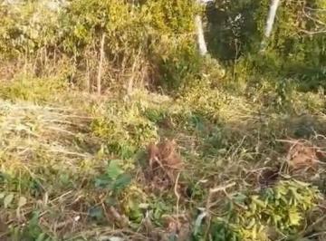 Terreno · 540m² · Terreno a venda em Guaratuba