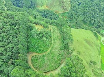 amat012-1 · Sítio com 4 hectares, riacho e escritura pública em Águas Mornas/SC