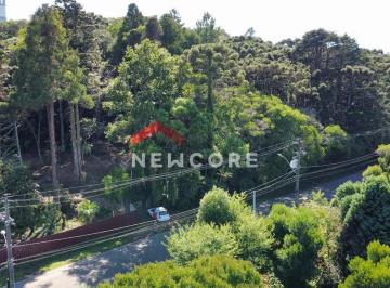 Terreno · 2332m² · Lote em Serra Velha - São Bernardo - São Francisco de Paula/RS