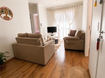 0 · apartamento á venda e para aluguel em Vila Marieta