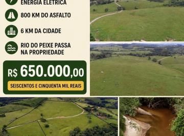 Foto 01 · Sítio à venda em Bofete-SP, bairro Zona Rural: 96.800 m² de área, imperdível oportunidade!