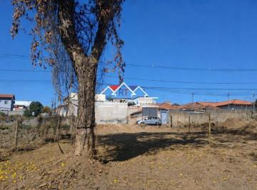 101709_39-6_143012.jpg · Lote no Bairro California!