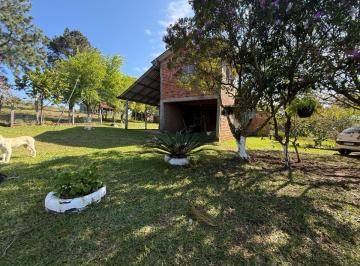 Rural , Taquara · SÍTIO 3,0 HECTARES - SANTA CRUZ DA CONCÓRDIA - TAQUARA - RS