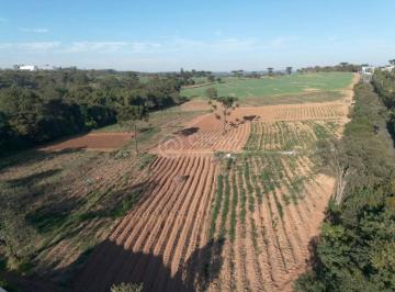 0e6fb66f0dd179b395870391fcd4ef348aa0d5cf · Terreno à venda, 29000 m² por R$ 14.500.000 - Santa Júlia - Itupeva/SP
