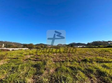 Terreno · 17000m² · Terreno à venda - na Vila Carlina