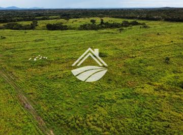 202605051026438184.jpeg · Fazenda para Venda em Pequizeiro, agropecuária em expansão