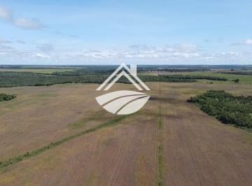202604010846551942.jpeg · Fazenda para Locação em Palmas, área rural de ampla expansão agropecuária