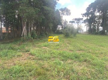 Rural · 3m² · Área à venda em Fazenda Rio Grande – Região de Curitiba/PR